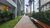 Apartamento, 2 quartos, 41 m² - Foto 12