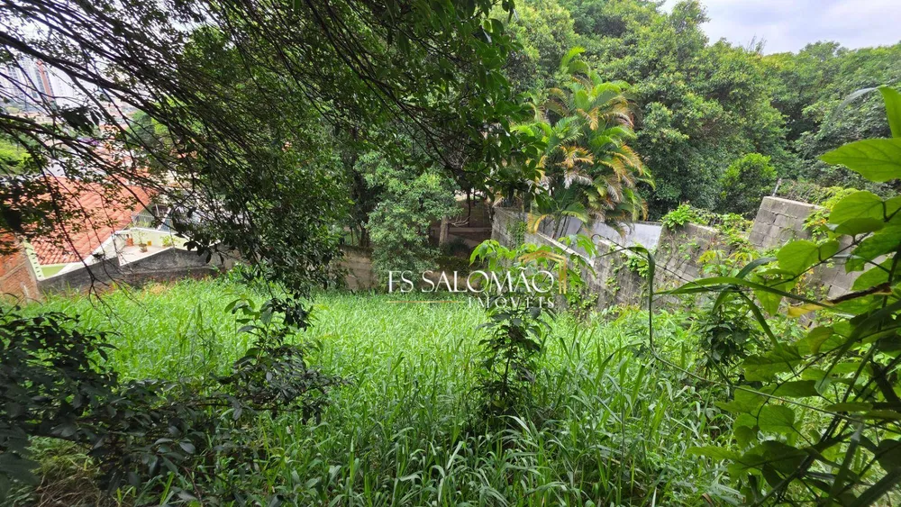 Casa, 4 quartos, 350 m² - Foto 15