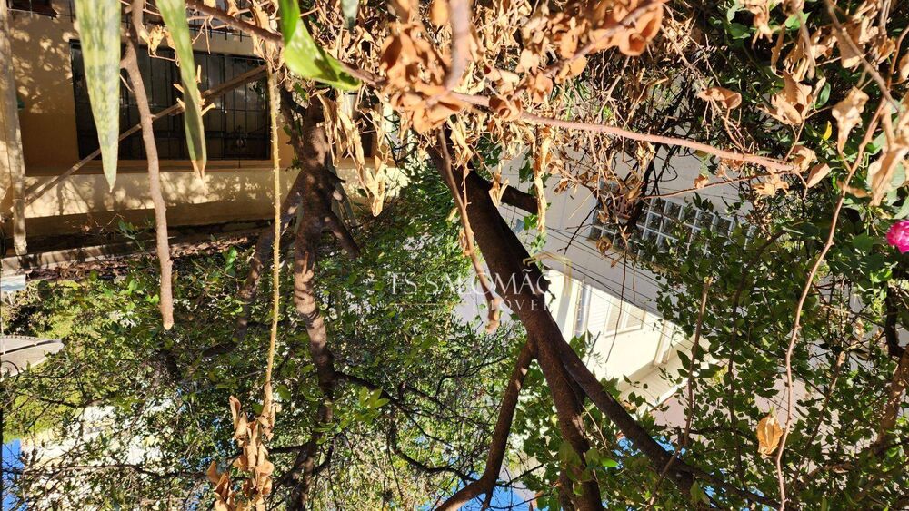 Casa, 3 quartos, 108 m² - Foto 3