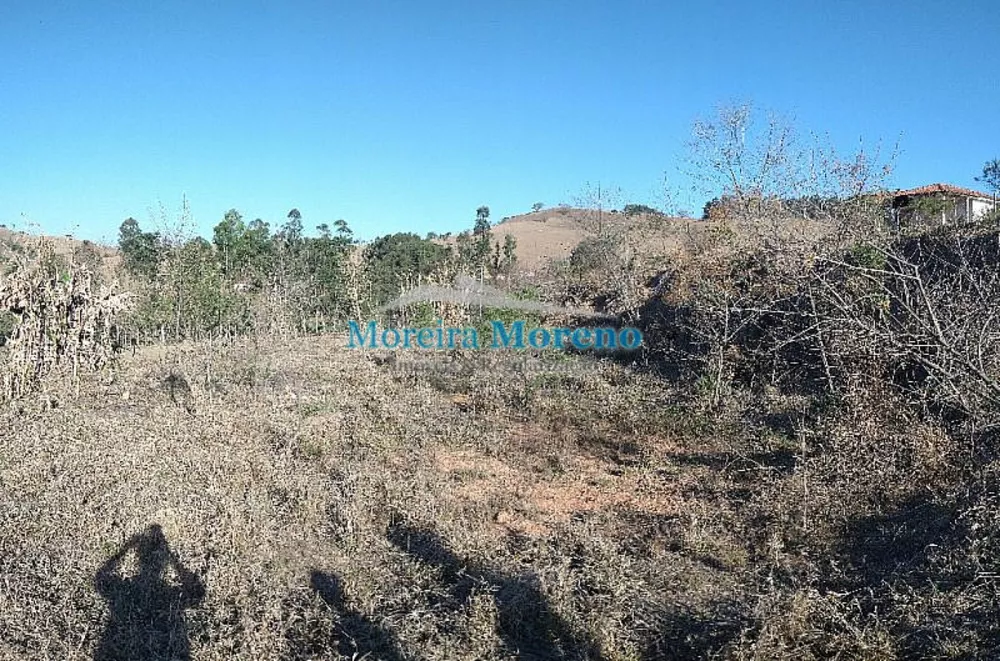 Chácara, 2 quartos, 7000 m² - Foto 2