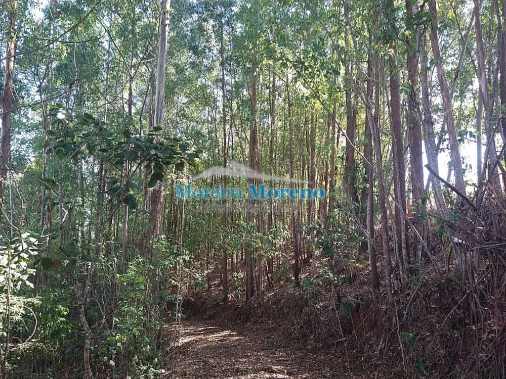 Sítio, 9000 m² - Foto 4