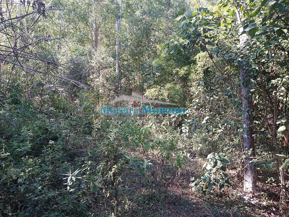 Sítio, 9000 m² - Foto 3