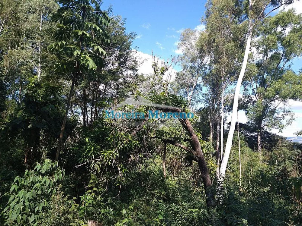 Sítio, 9000 m² - Foto 2