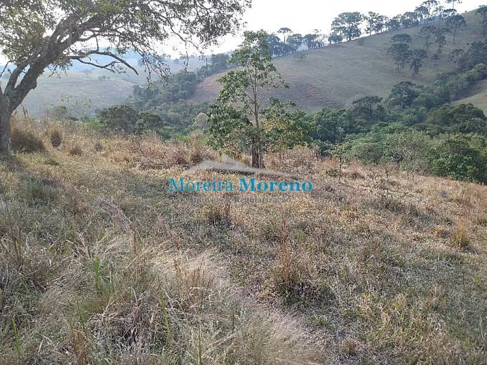 Sítio, 10000 m² - Foto 2