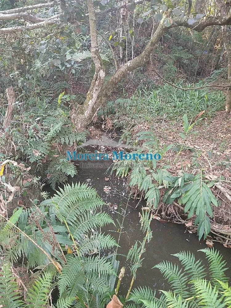 Sítio, 10000 m² - Foto 1