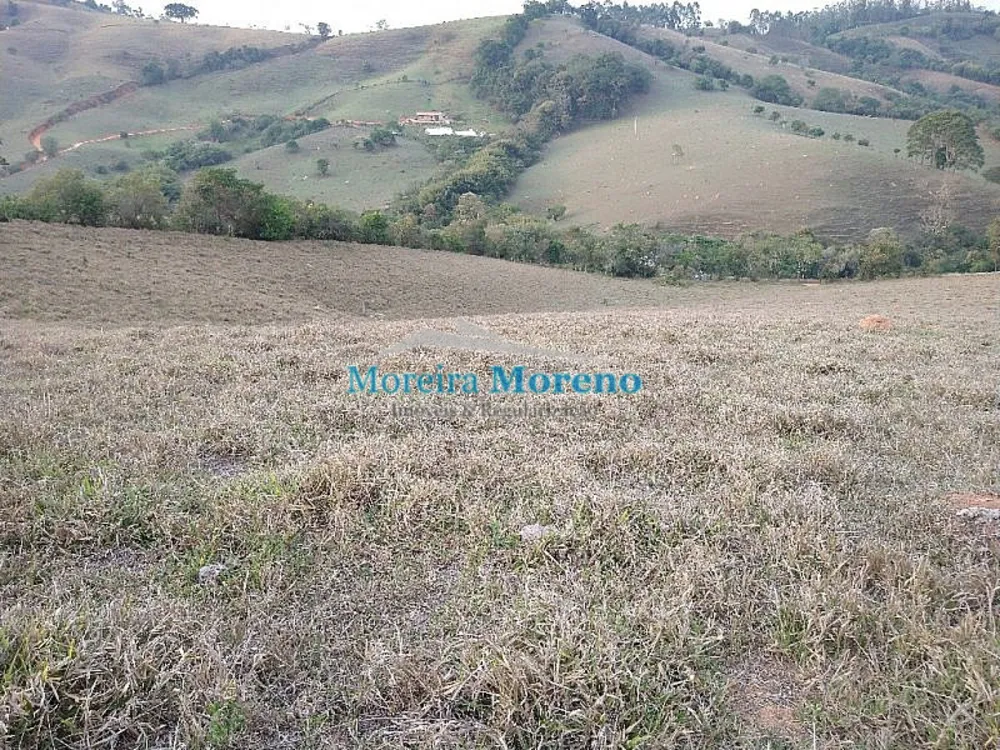 Sítio, 10000 m² - Foto 1