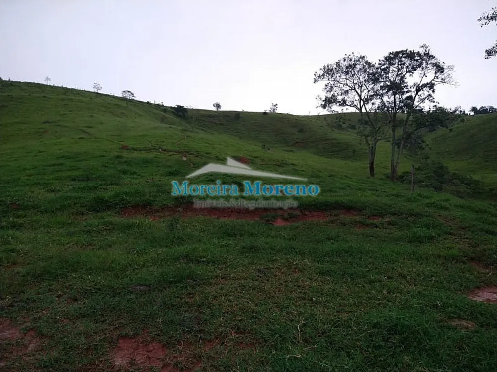 Fazenda, 11 hectares - Foto 3