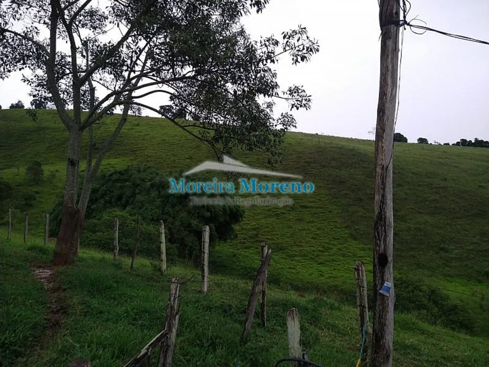 Fazenda, 11 hectares - Foto 9