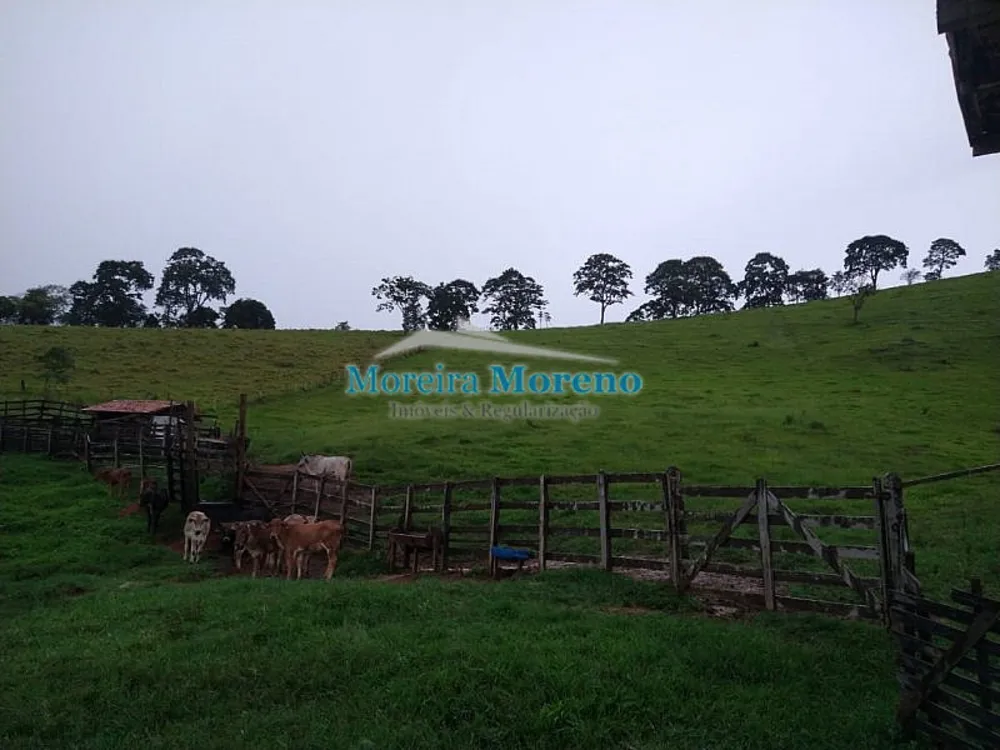 Fazenda, 11 hectares - Foto 10