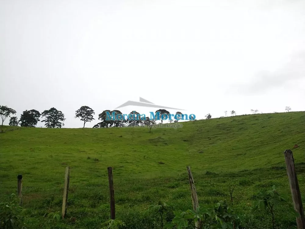 Fazenda, 11 hectares - Foto 4