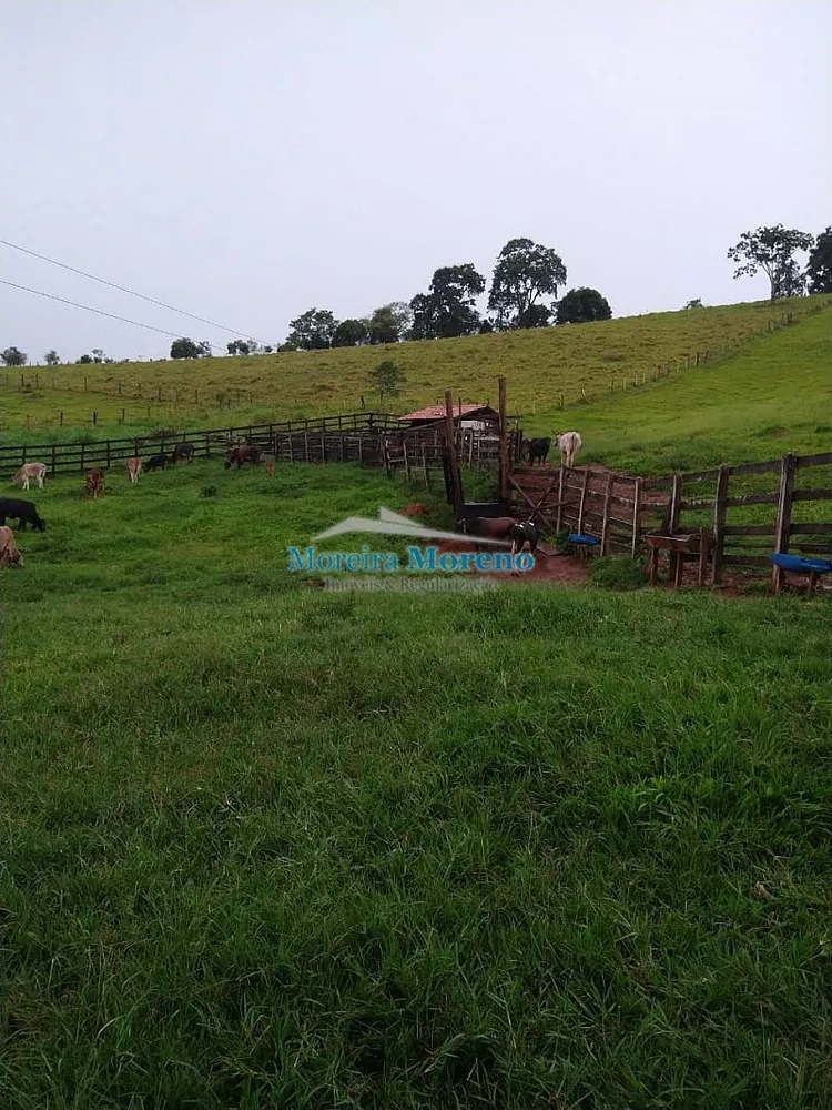 Fazenda, 11 hectares - Foto 8