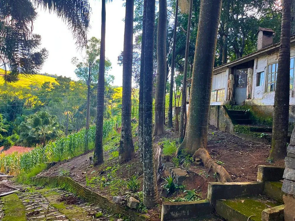 Sítio, 4 quartos, 4 hectares - Foto 6