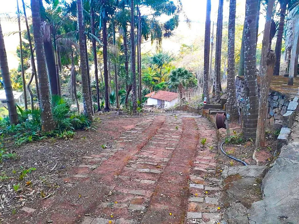 Sítio, 4 quartos, 4 hectares - Foto 8