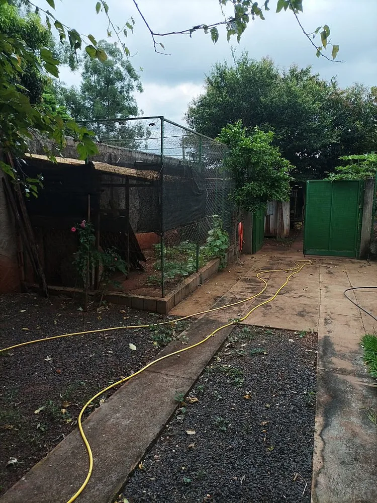 Chácara, 1 quarto, 3000 m² - Foto 8