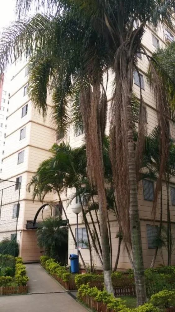Apartamento, 3 quartos, 64 m² - Foto 3