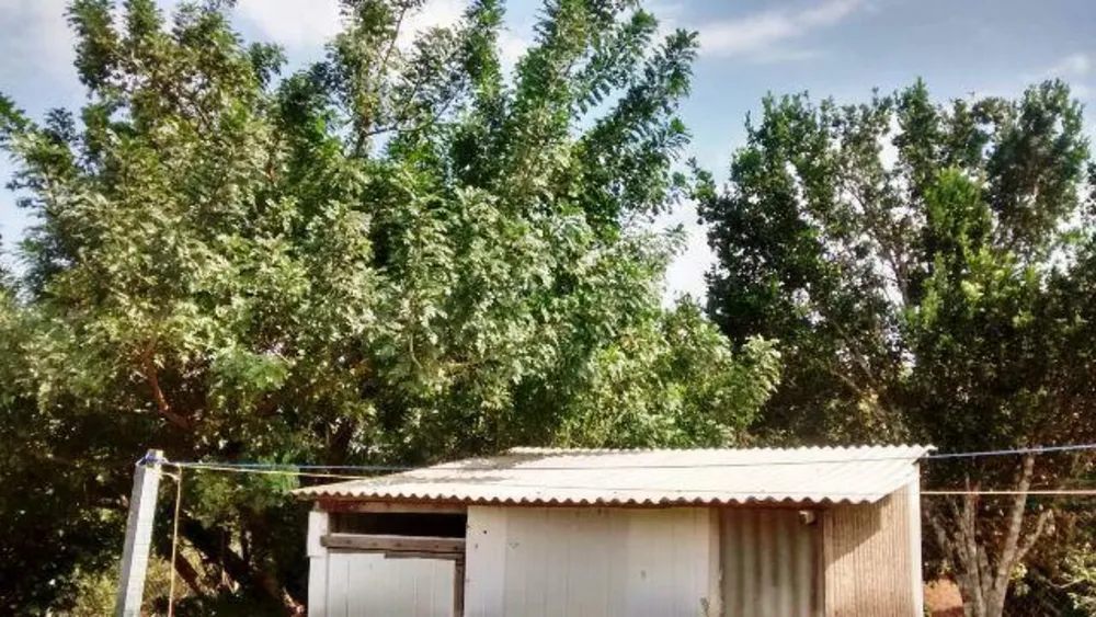 Chácara, 3 quartos, 2 m² - Foto 2