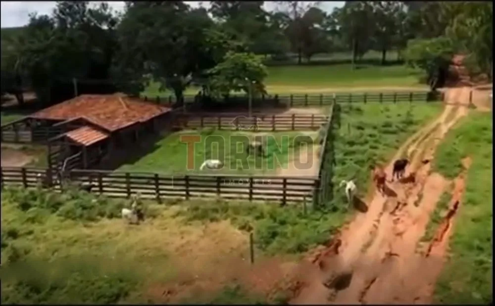 Fazenda, 1257 m² - Foto 4