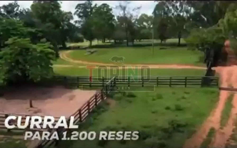 Fazenda, 1257 m² - Foto 2