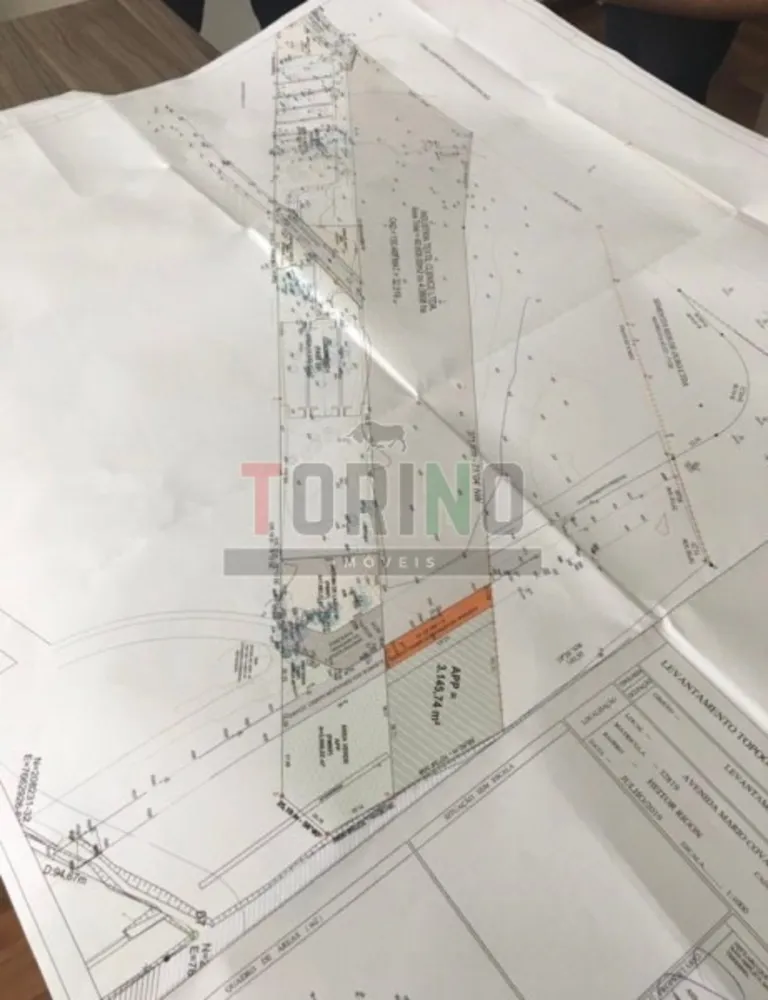 Terreno, 4 hectares - Foto 1
