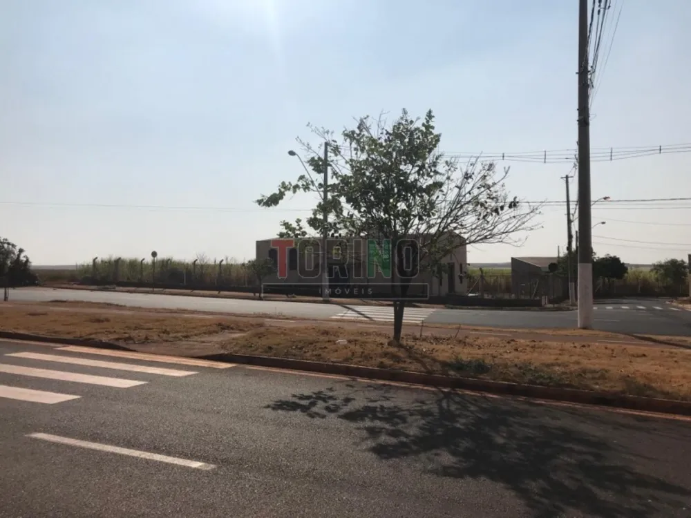 Terreno, 260 m² - Foto 8