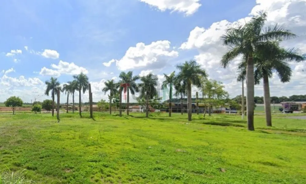 Terreno, 260 m² - Foto 8