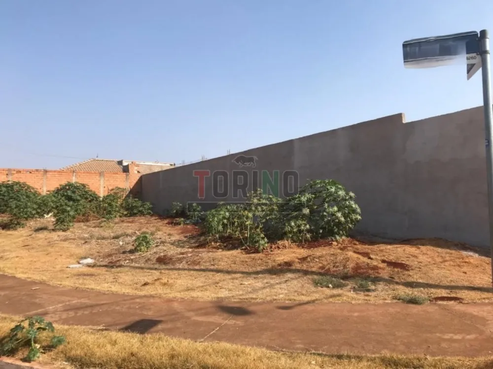 Terreno, 260 m² - Foto 6