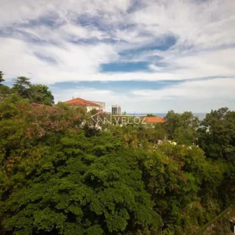 Apartamento, 4 quartos, 100 m² - Foto 16