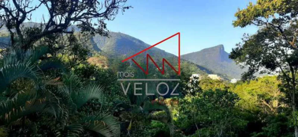 Apartamento, 4 quartos, 550 m² - Foto 12