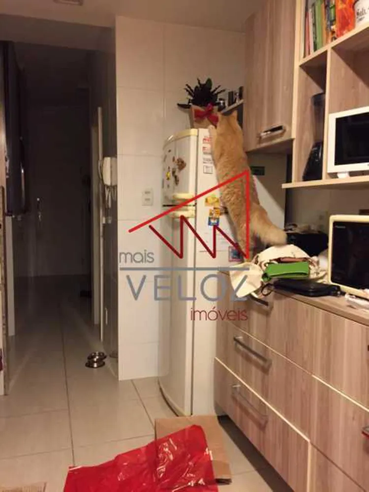Apartamento, 3 quartos, 115 m² - Foto 6