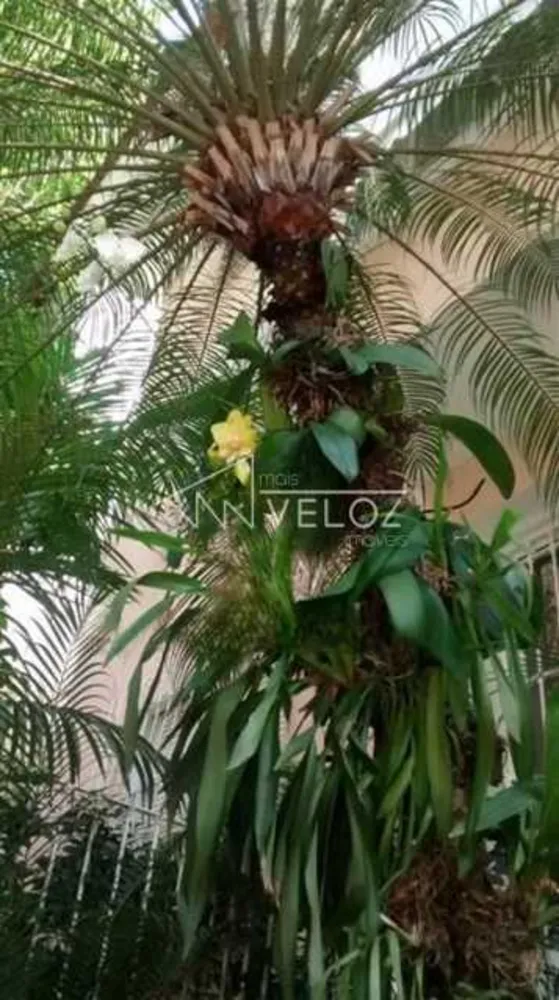 Apartamento, 4 quartos, 129 m² - Foto 19