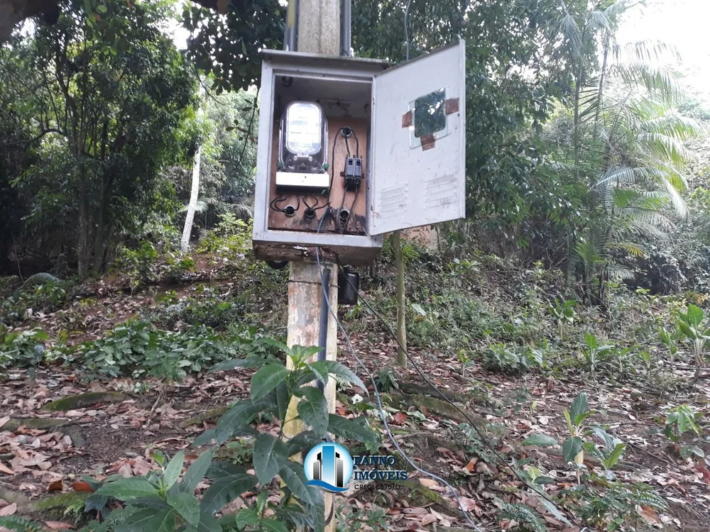 Fazenda, 43000 hectares - Foto 11