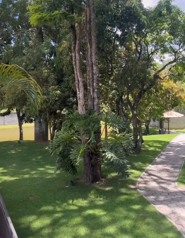 Terreno, 300 m² - Foto 8