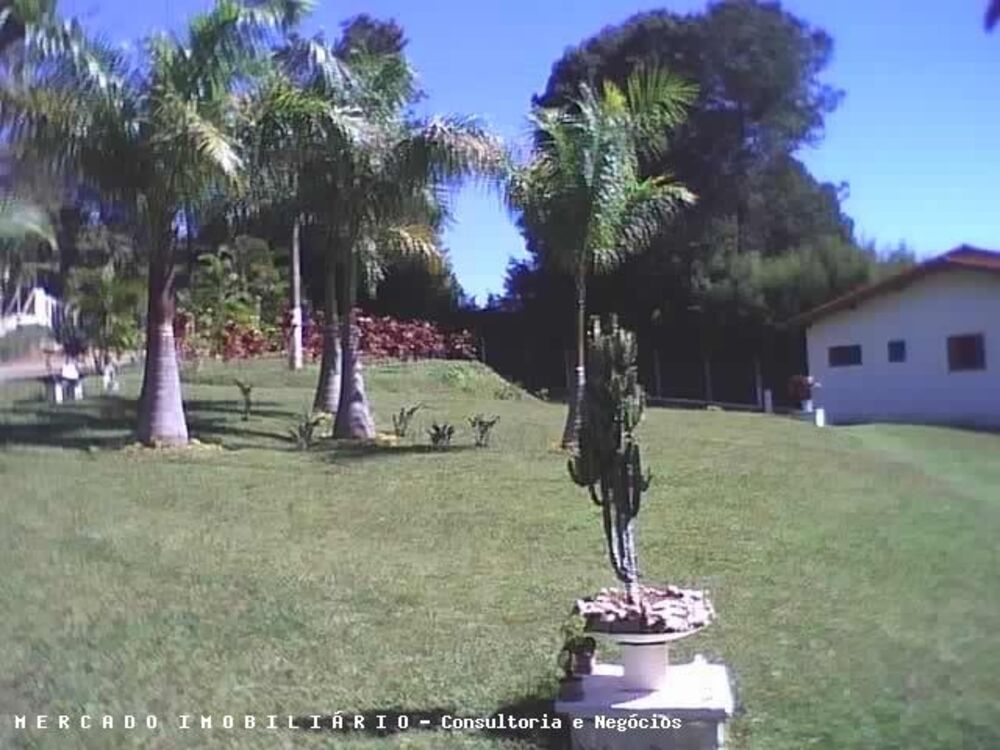 Terreno, 16 hectares - Foto 2