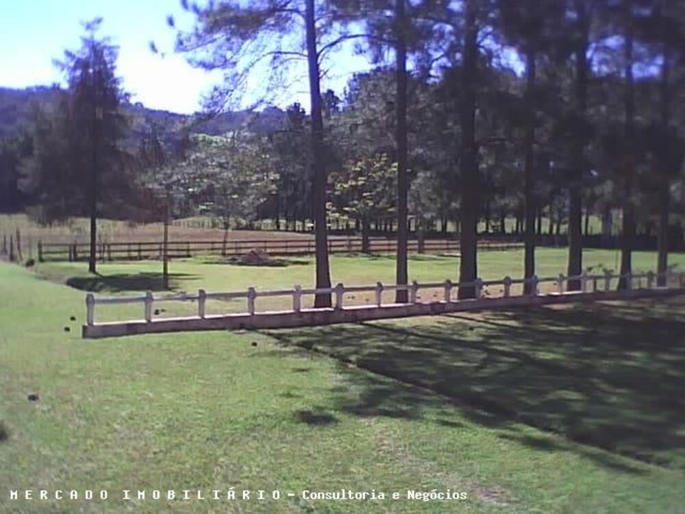 Terreno, 16 hectares - Foto 3