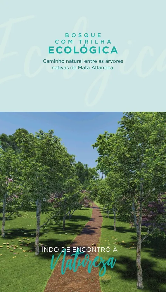 Terreno, 250 m² - Foto 8