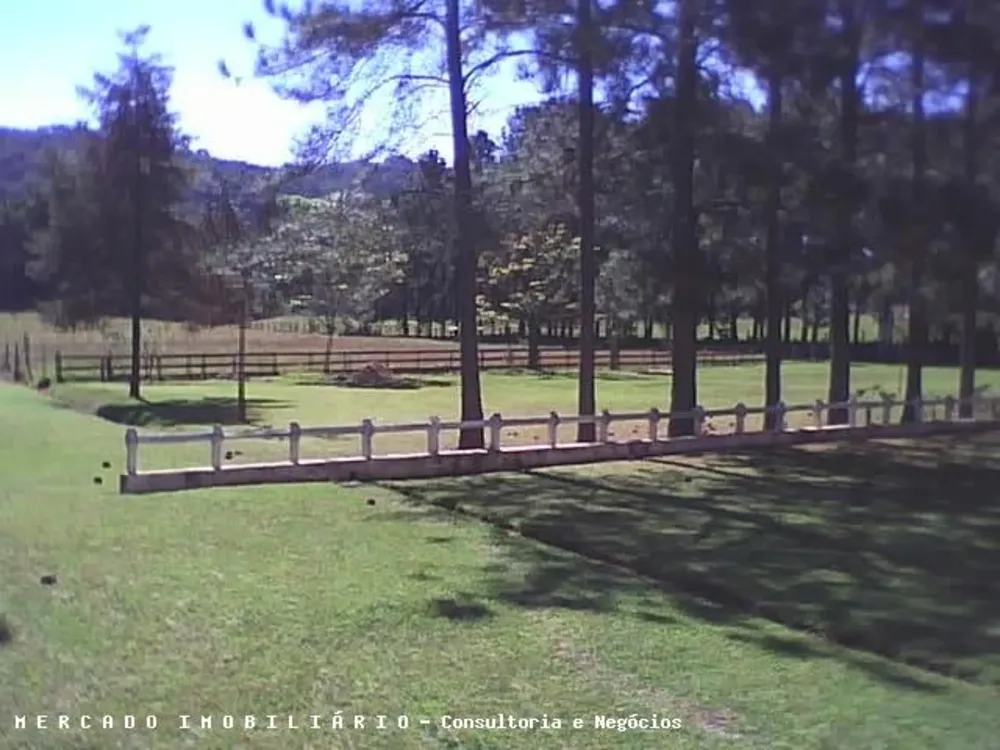 Terreno, 16 hectares - Foto 8