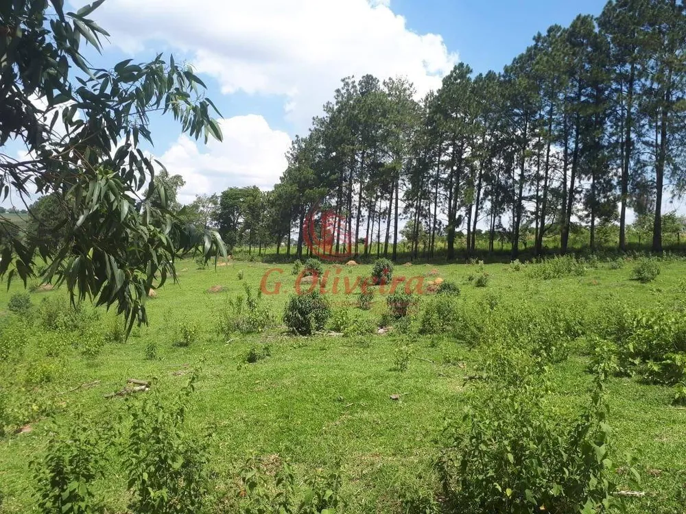 Terreno, 5 hectares - Foto 6