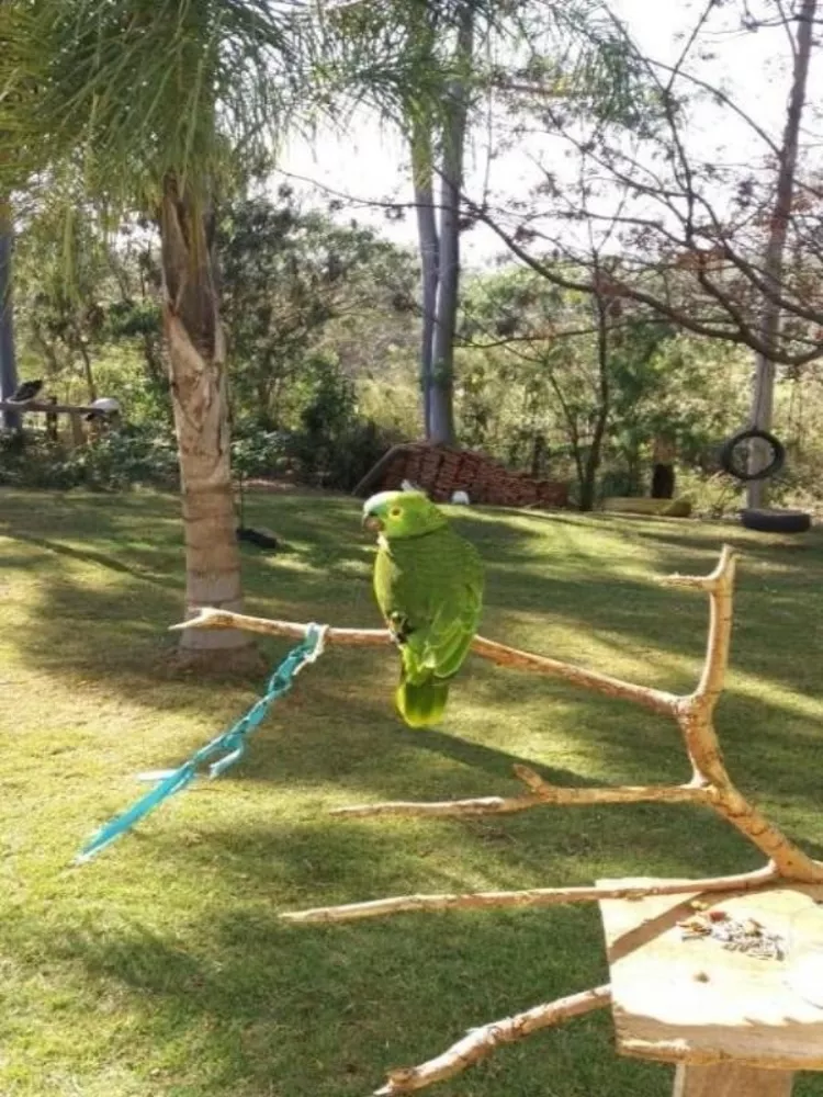 Casa, 3 quartos, 200 m² - Foto 3