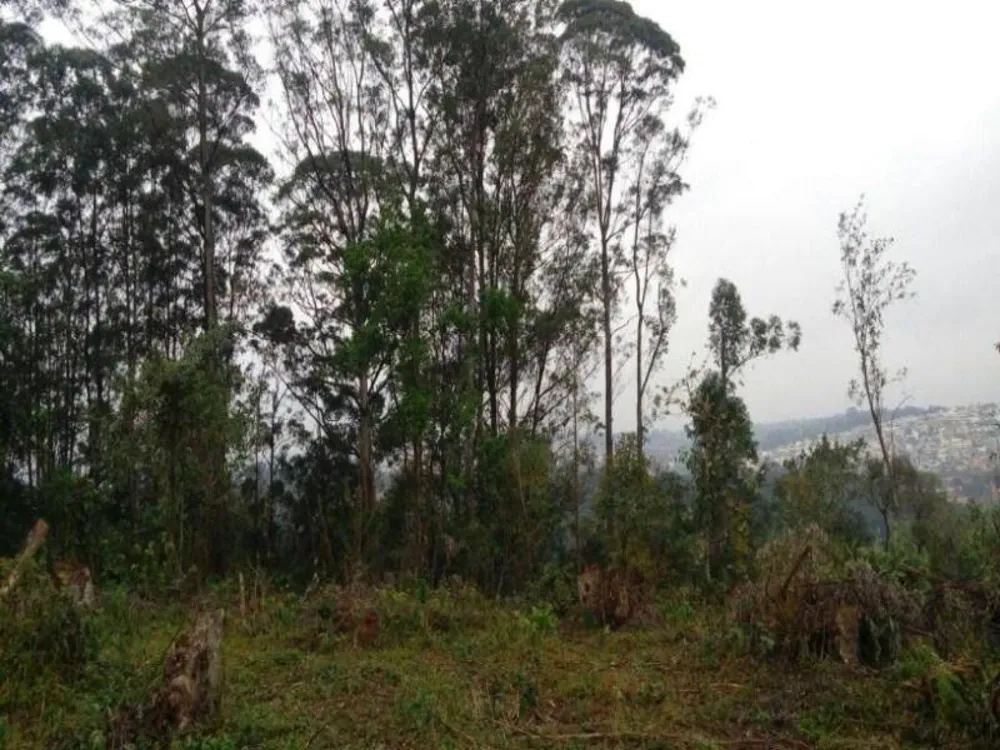 Terreno, 2 hectares - Foto 9