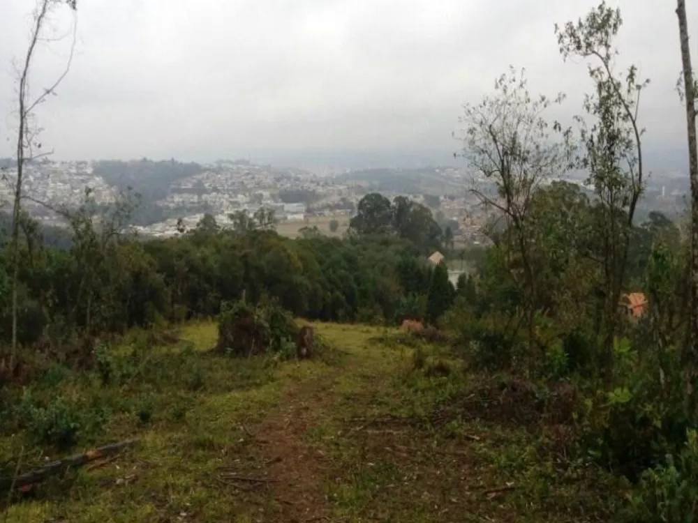 Terreno, 2 hectares - Foto 4