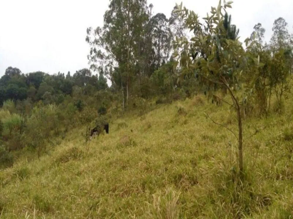 Terreno, 2 hectares - Foto 8