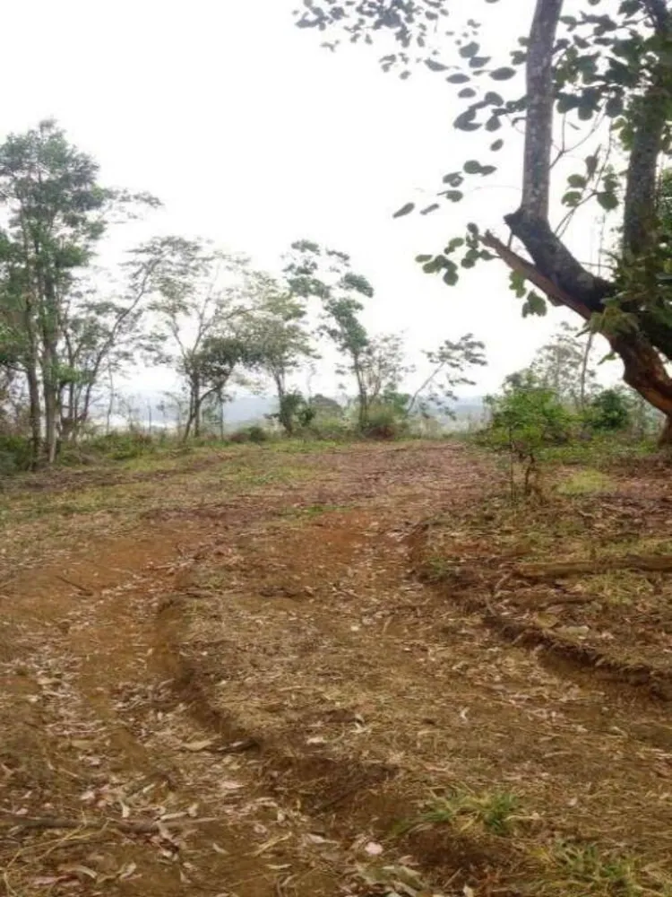 Terreno, 2 hectares - Foto 12