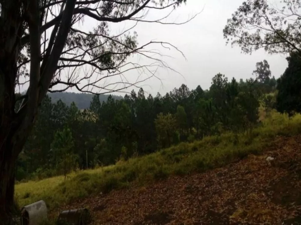 Terreno, 2 hectares - Foto 1