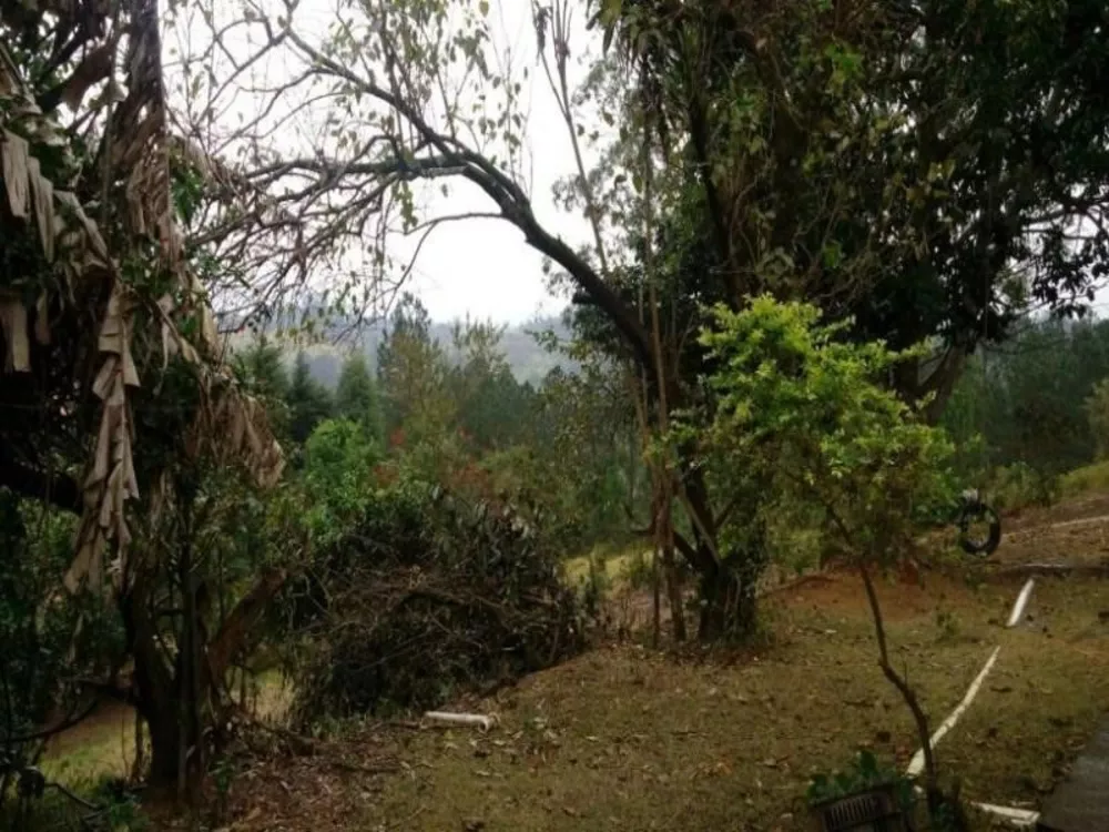 Terreno, 2 hectares - Foto 3