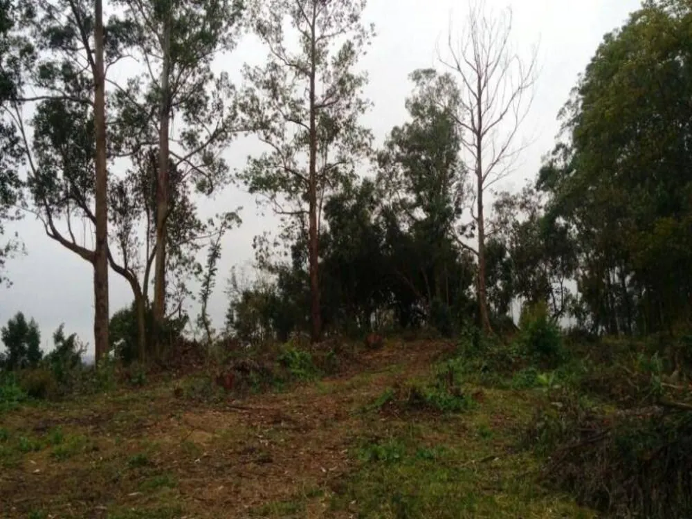 Terreno, 2 hectares - Foto 10