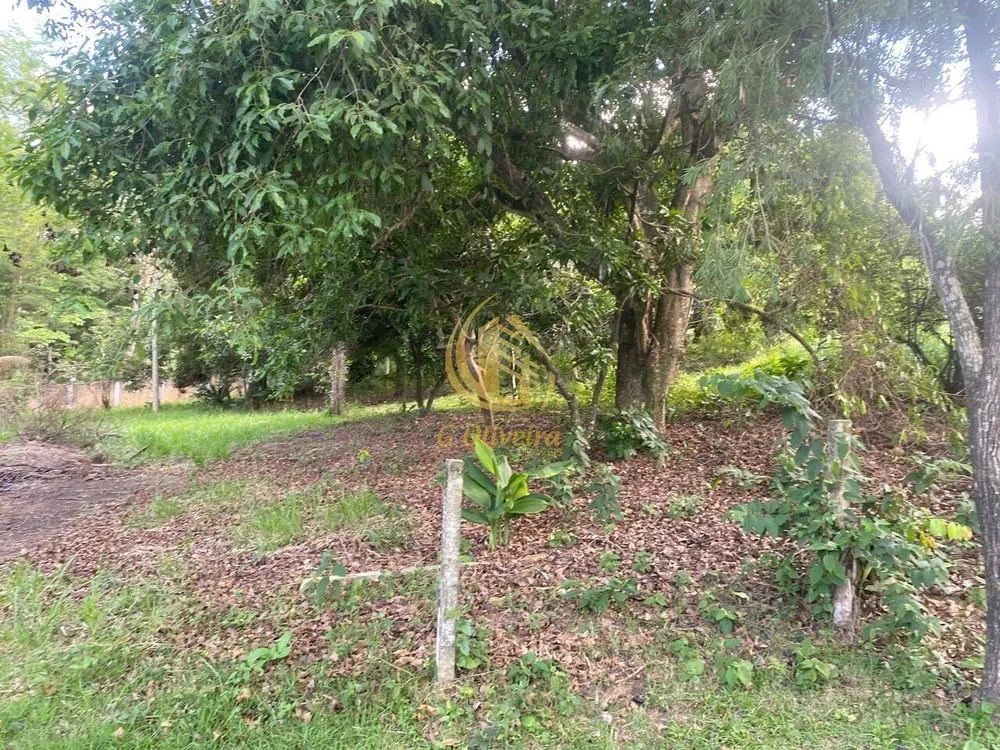 Terreno, 3 hectares - Foto 2