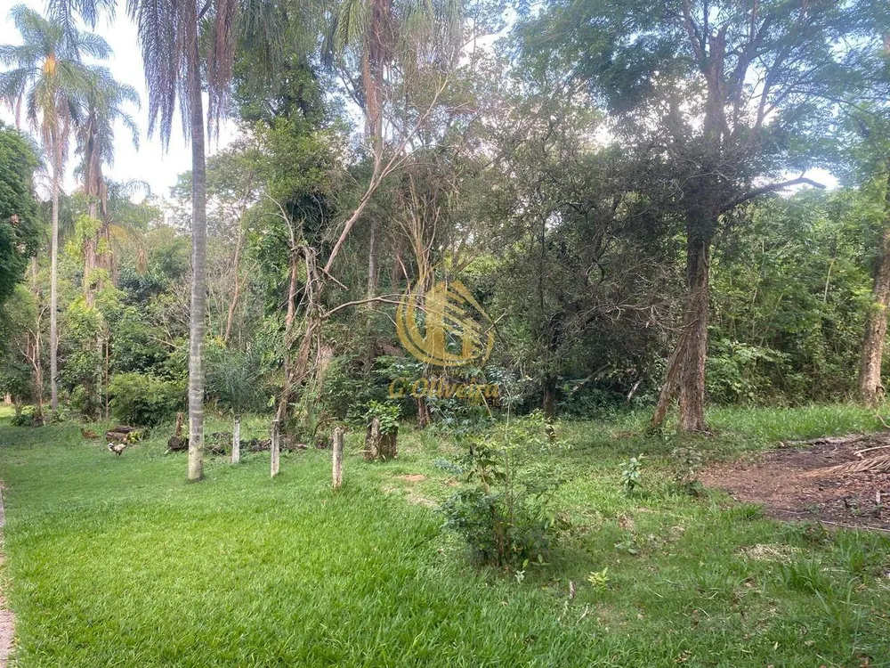 Terreno, 3 hectares - Foto 4