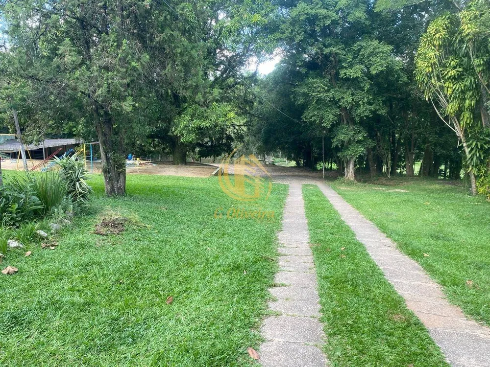 Terreno, 3 hectares - Foto 4
