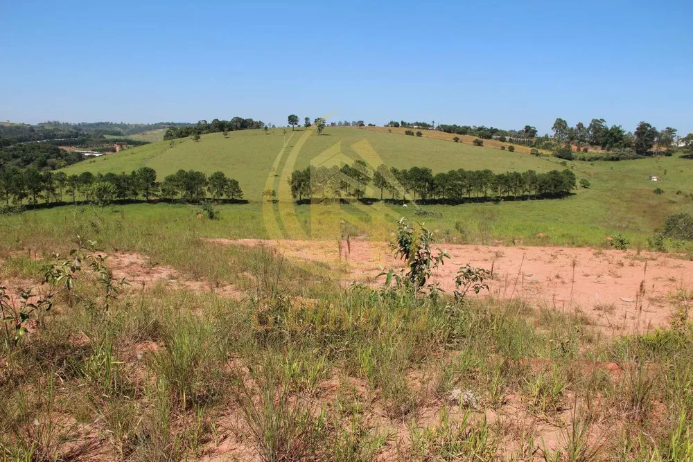 Sítio, 7 quartos, 16 hectares - Foto 7