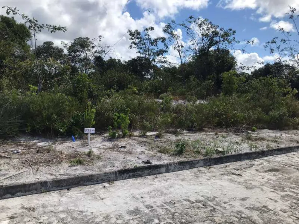 Terreno, 4 hectares - Foto 13